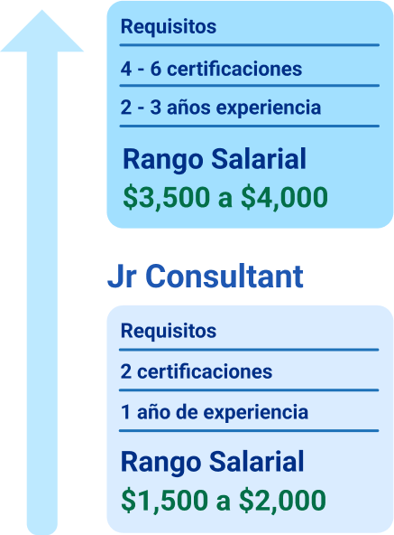 Consultant
