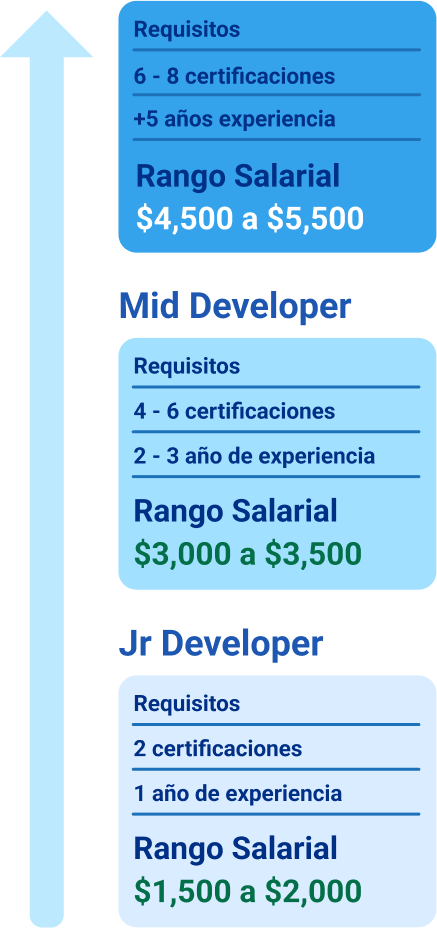 Senior Developer